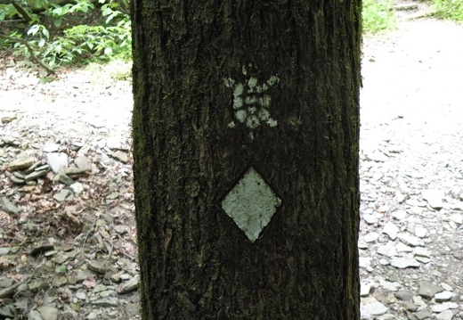 Gladie Creek, Red River Gorge